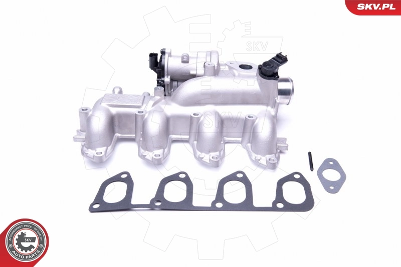 EGR Valve